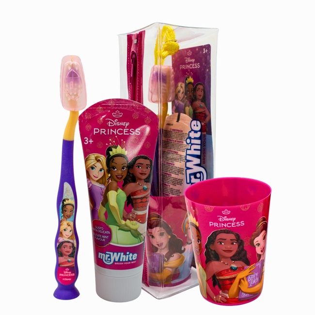 ディズニー35周年TOOTHBRUSH KIT ディズニー35周年TOOTHBRUSH KIT